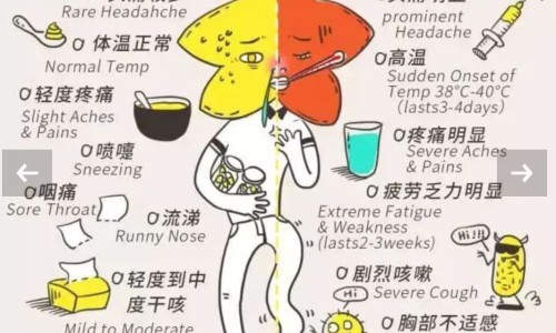 煲汤后的肉还有营养吗-煲汤后 营养在汤还是在肉-专业食材炖汤后材料还有营养吗平台-煲汤营养在汤里还是肉里