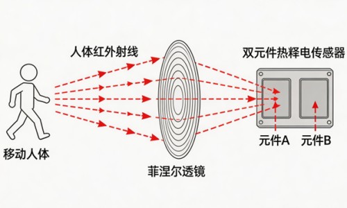 煲汤后的肉还有营养吗-煲汤后 营养在汤还是在肉-专业食材炖汤后材料还有营养吗平台-煲汤营养在汤里还是肉里